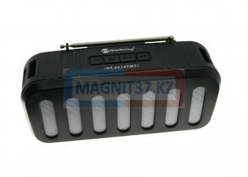 Колонки MP3  Bluetooth  NewRixing NR-2013