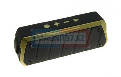 Колонки MP3  Bluetooth  NewRixing NR-5000